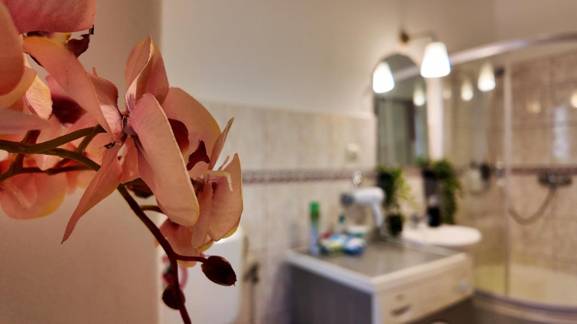 Intimo Oldtown Romantic Apartment Brasov Exterior photo